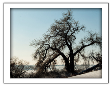 Strong Against the Cold